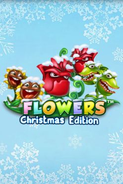 Flowers Christmas Edition